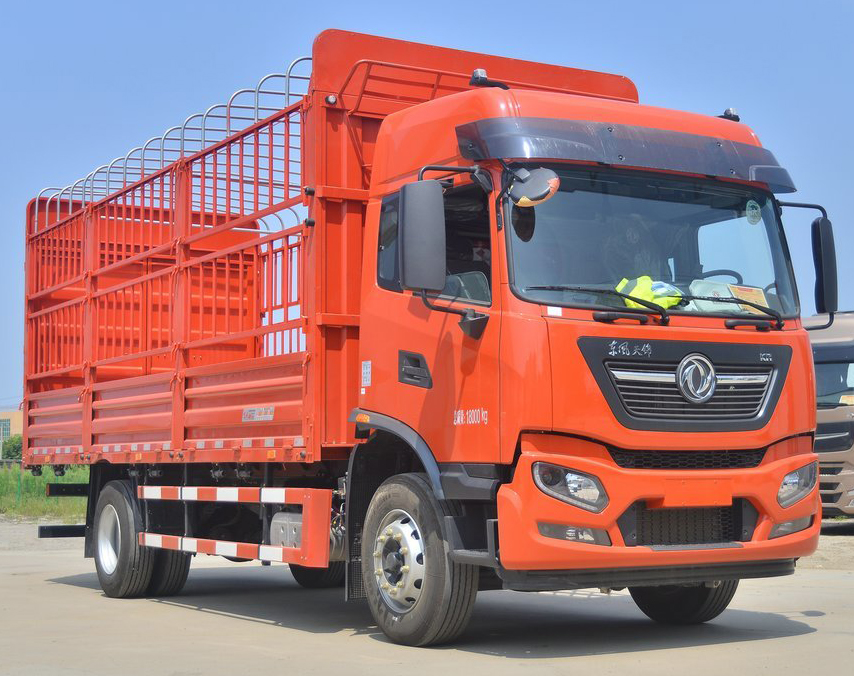 DONGFENG  _1